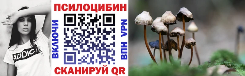 где можно купить наркотик  Чехов  Галлюциногенные грибы мухоморы 